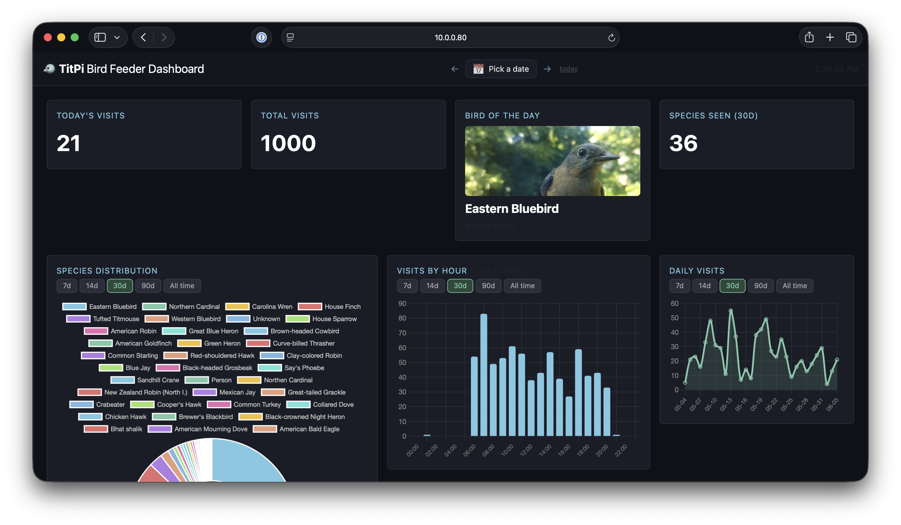 TitPi dashboard — visit counts, Bird of the Day, and species breakdown