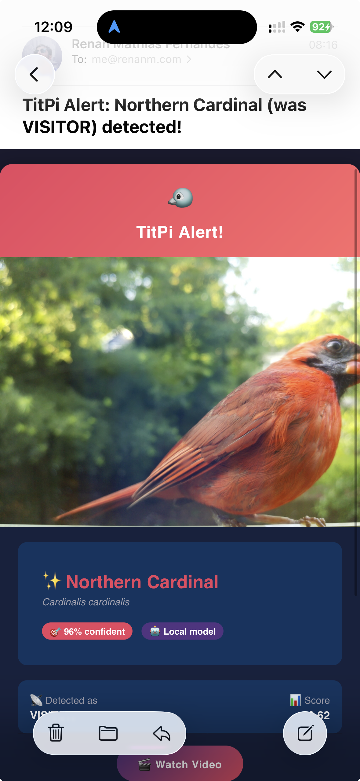 TitPi alert email example with photo and species identification